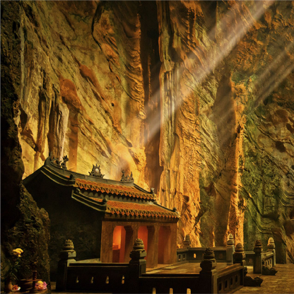 Da Nang to Hoi An| 1-Day Trip with Mountains, Jungle & Lantern Boat