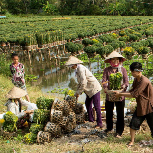 1-Day Adventure ➡️ Cu Chi Tunnels & Mekong Tour