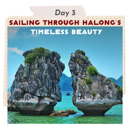 Vietnam Mountain Getaways🚞5-Day Northern Leisure Travel