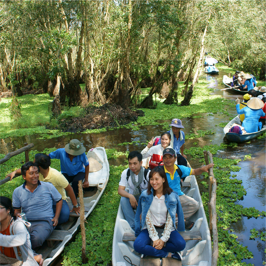 1-Day Classic Ho Chi Minh ➡️ Mekong Delta Tour Experience