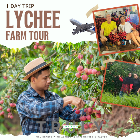 Sweet Summer Escape: Lychee Farm tour