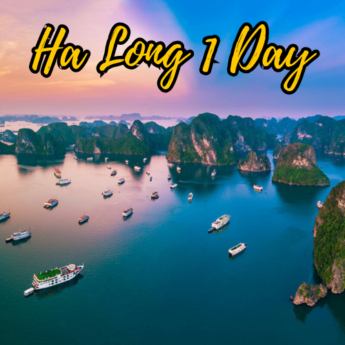 HA LONG BAY TRIP (1 DAY TRIP)