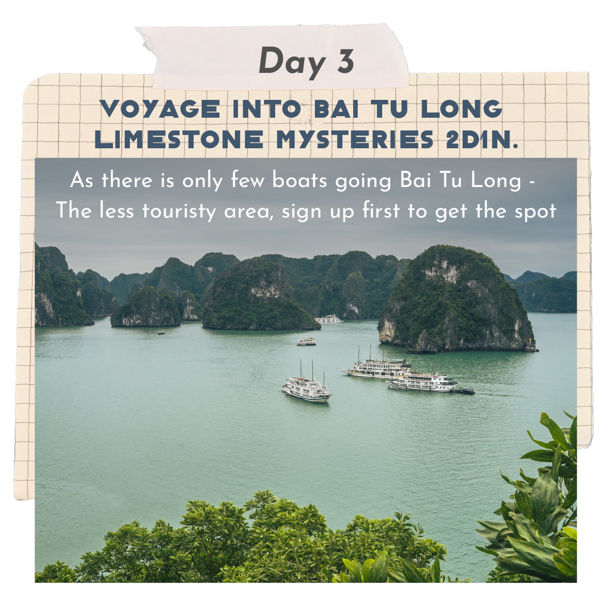 Beach Getaway & Culture Tour 🌴 15-Day Vietnam Land & Sea Escape